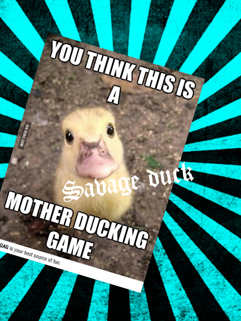 Savage duck