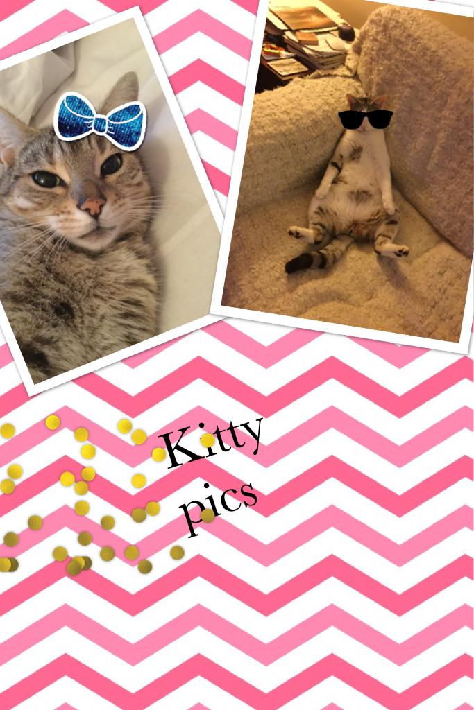 Kitty pics