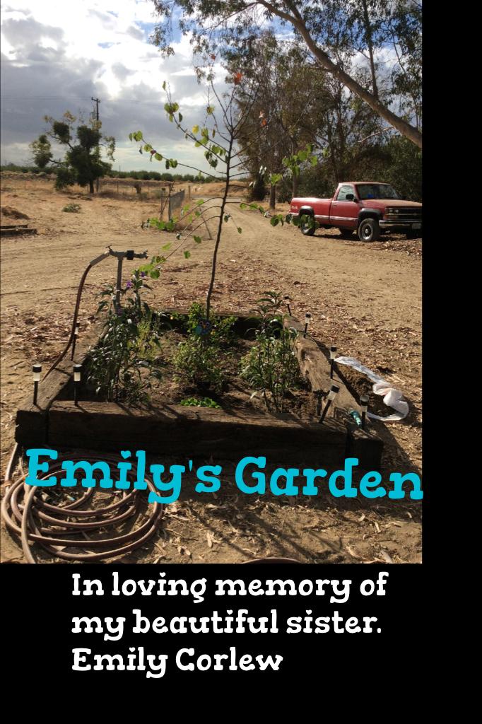 Emily's Garden