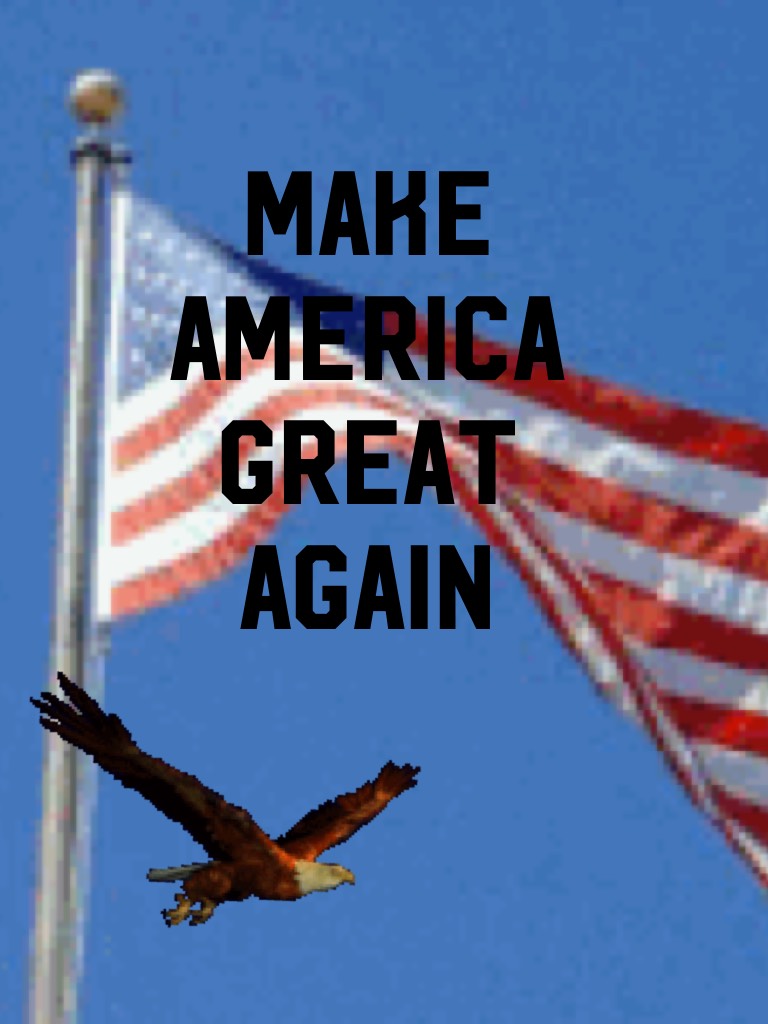 Make America Great Again 