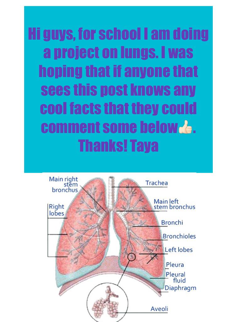 Hi guys, for school I am doing a project on lungs. I was hoping that if anyone that sees this post knows any cool facts that they could comment some below👍🏻.
Thanks! Taya