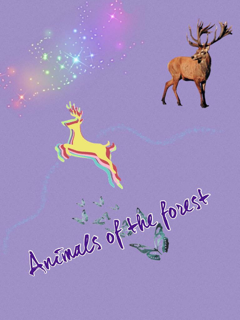 Animals of the forestxxx 