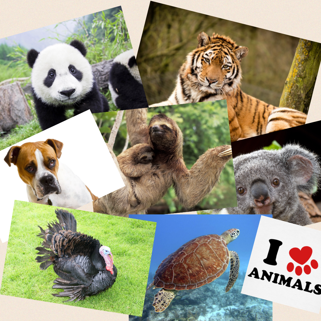 I love animals and want to help them live!!!!!!!!