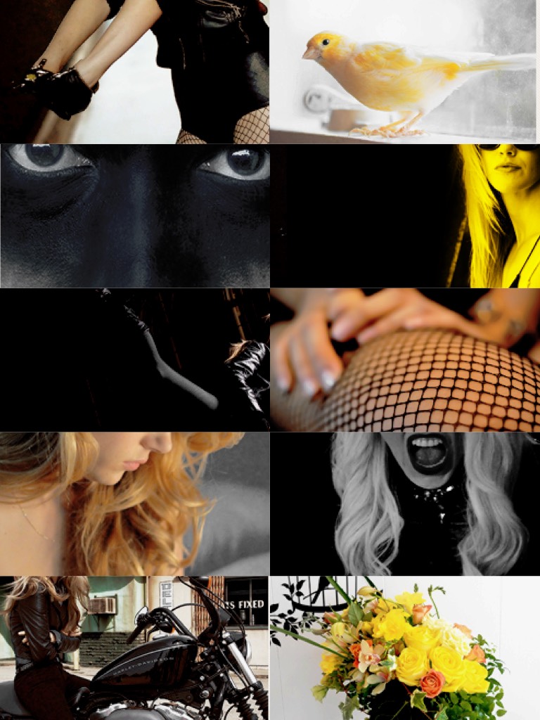Idk I made a black Canary collage 😕