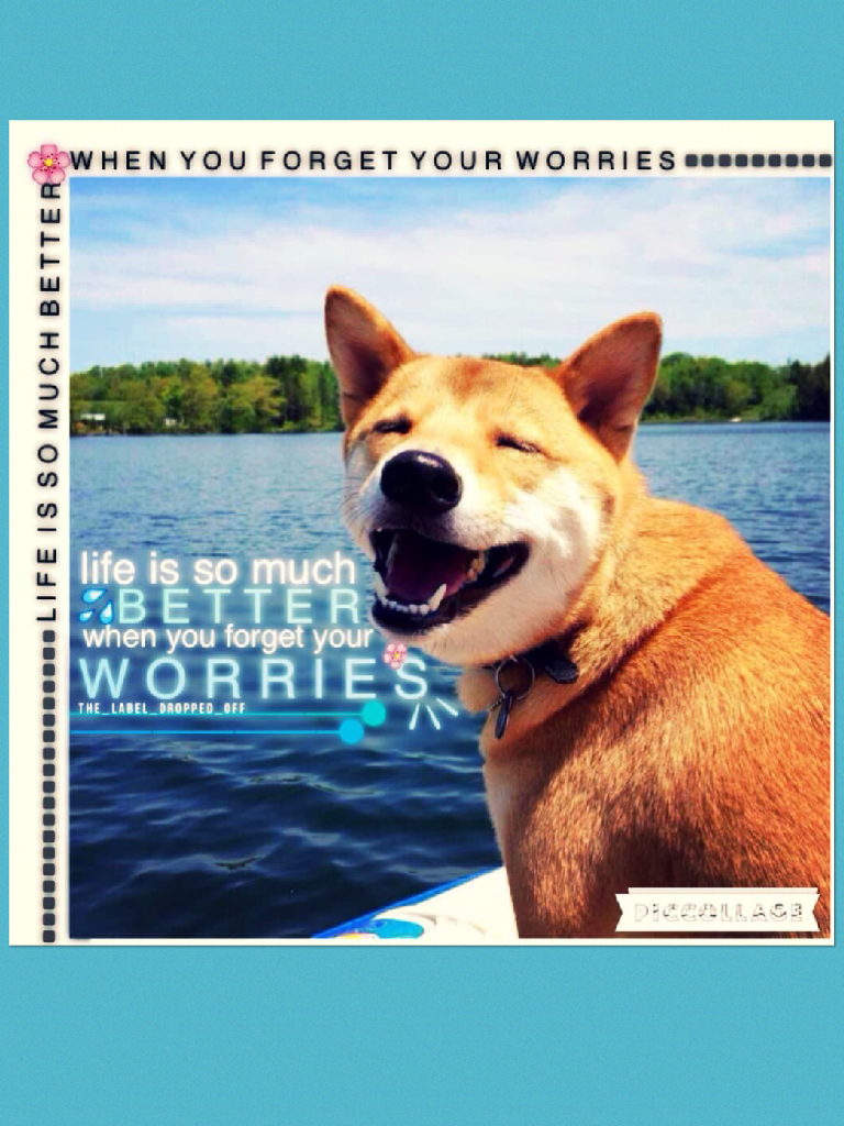 Worries are GONE