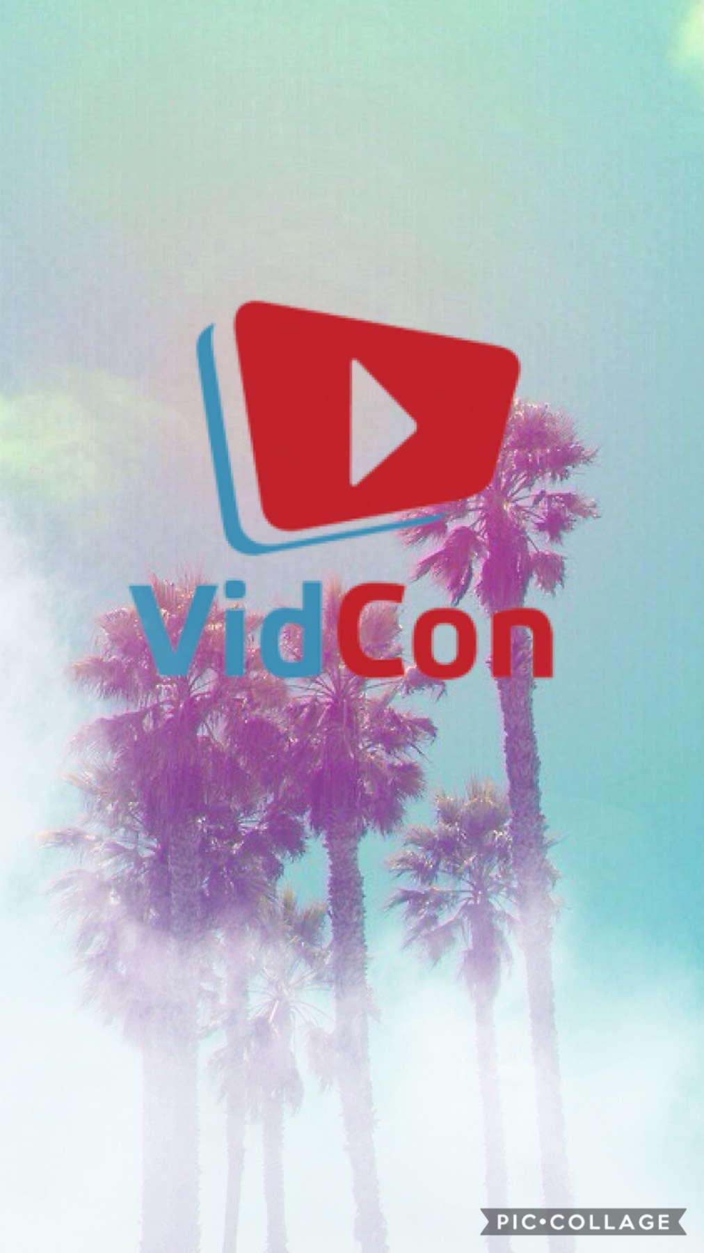 VidCon 