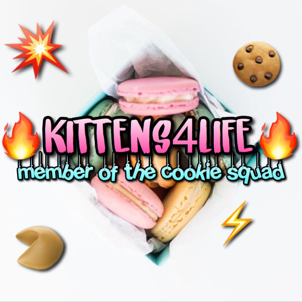 🥠welcome @kittens4life!🥠
