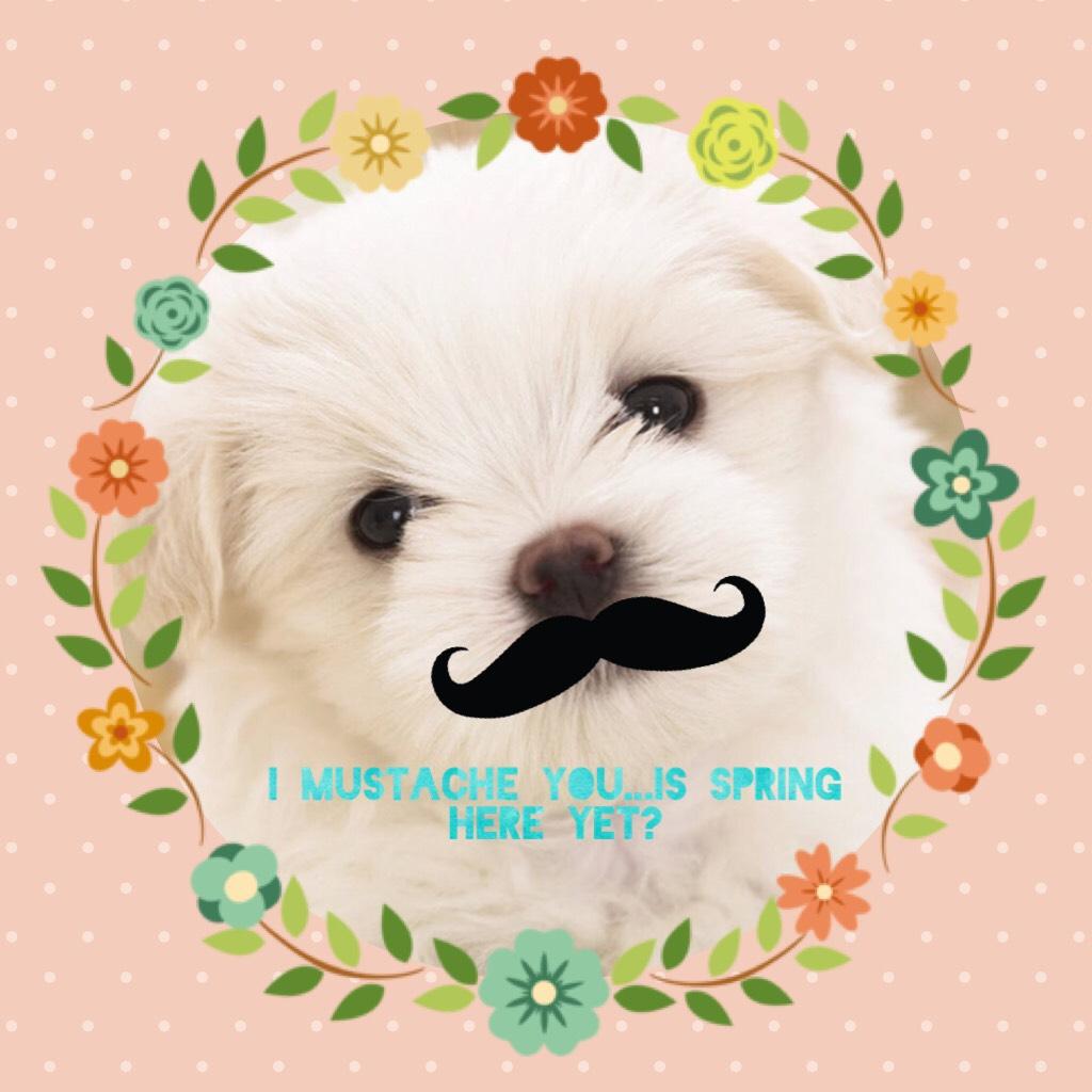 I mustache you...is spring here yet?