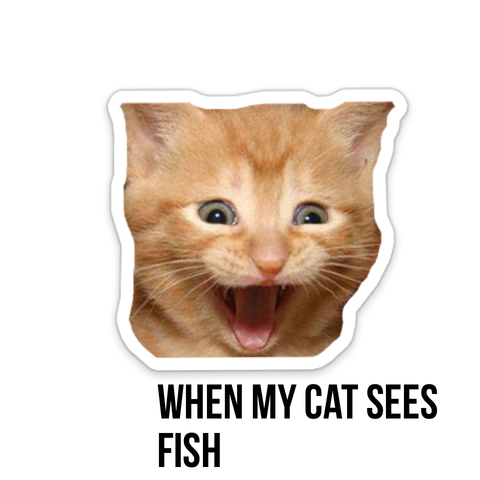 When my cat sees fish 