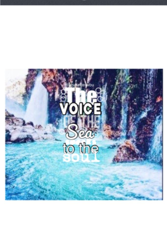 🌊The voice of the sea to the soul🌊 • Thanks so much for 500 followers, 600 is my new goal•  #pconly #weheartit #tumblr