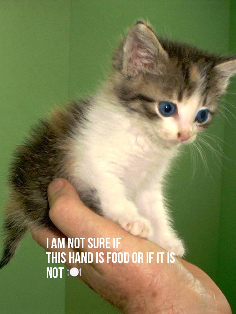 I am not sure if 
This hand is food or if it is 
Not