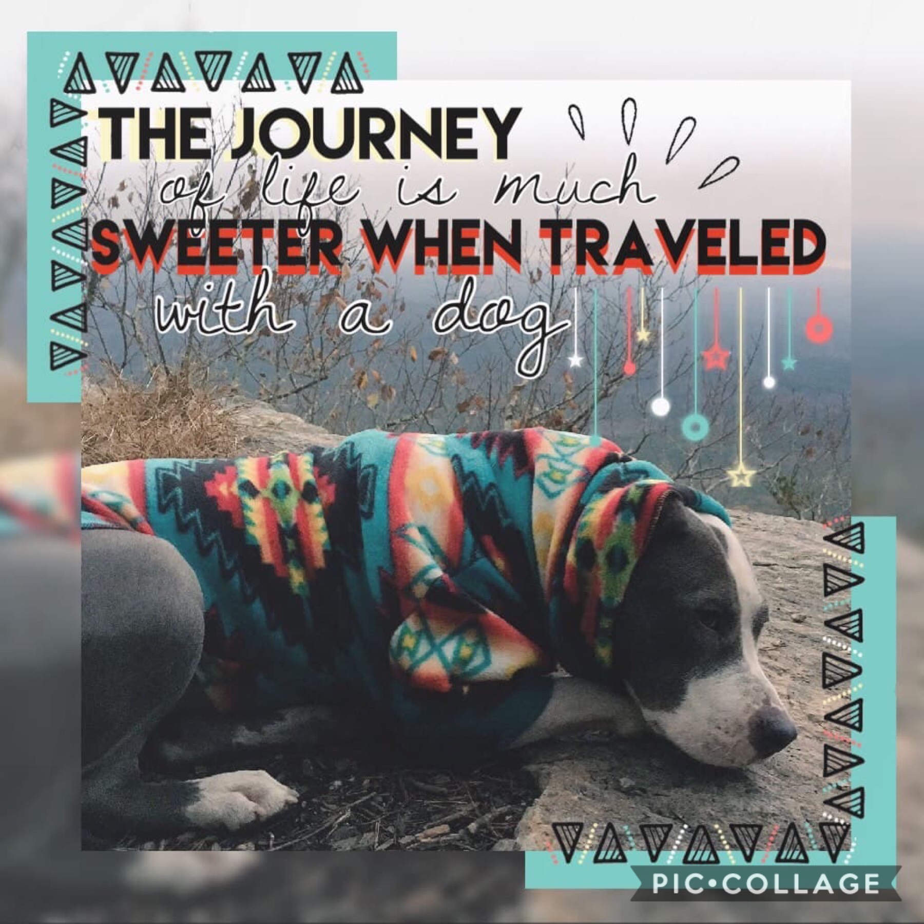 T a p
Entry into DogandAvengerlover’s contest! (I forgot to say this but my last collage’s bg is from _Rylee_Beth_) I hope you like this!
QOTD:Do you gave a dog?
AOTD: Nope, but I have a cat that acts like a dog so... close enough😂😂