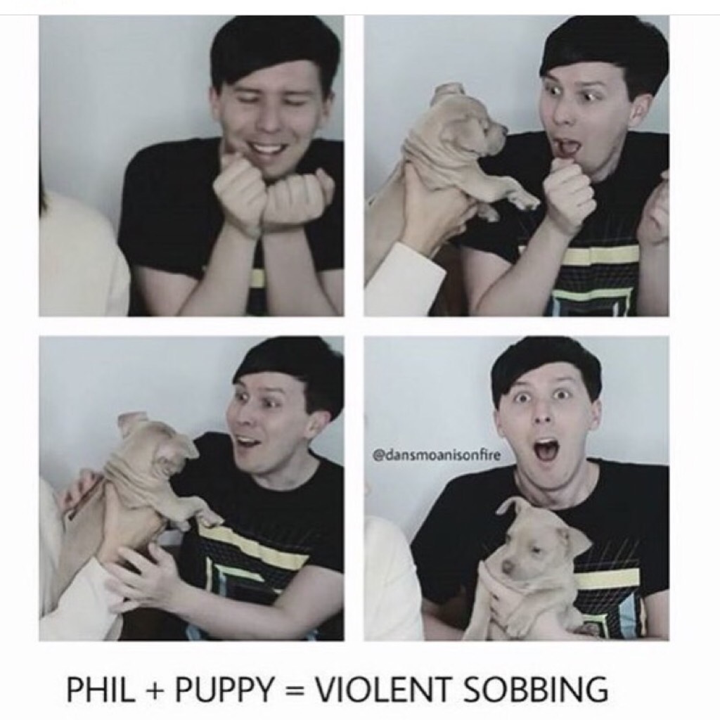 IM SOBBING THIS VID WAS SO CUTE AAAAAH GET A DOG (from cat's latest vid)