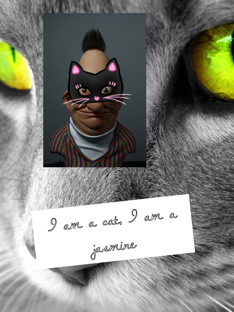 I am a cat, I am a jasmine