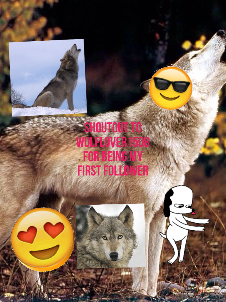 Shoutout to wolflover1508 for being my first follower
