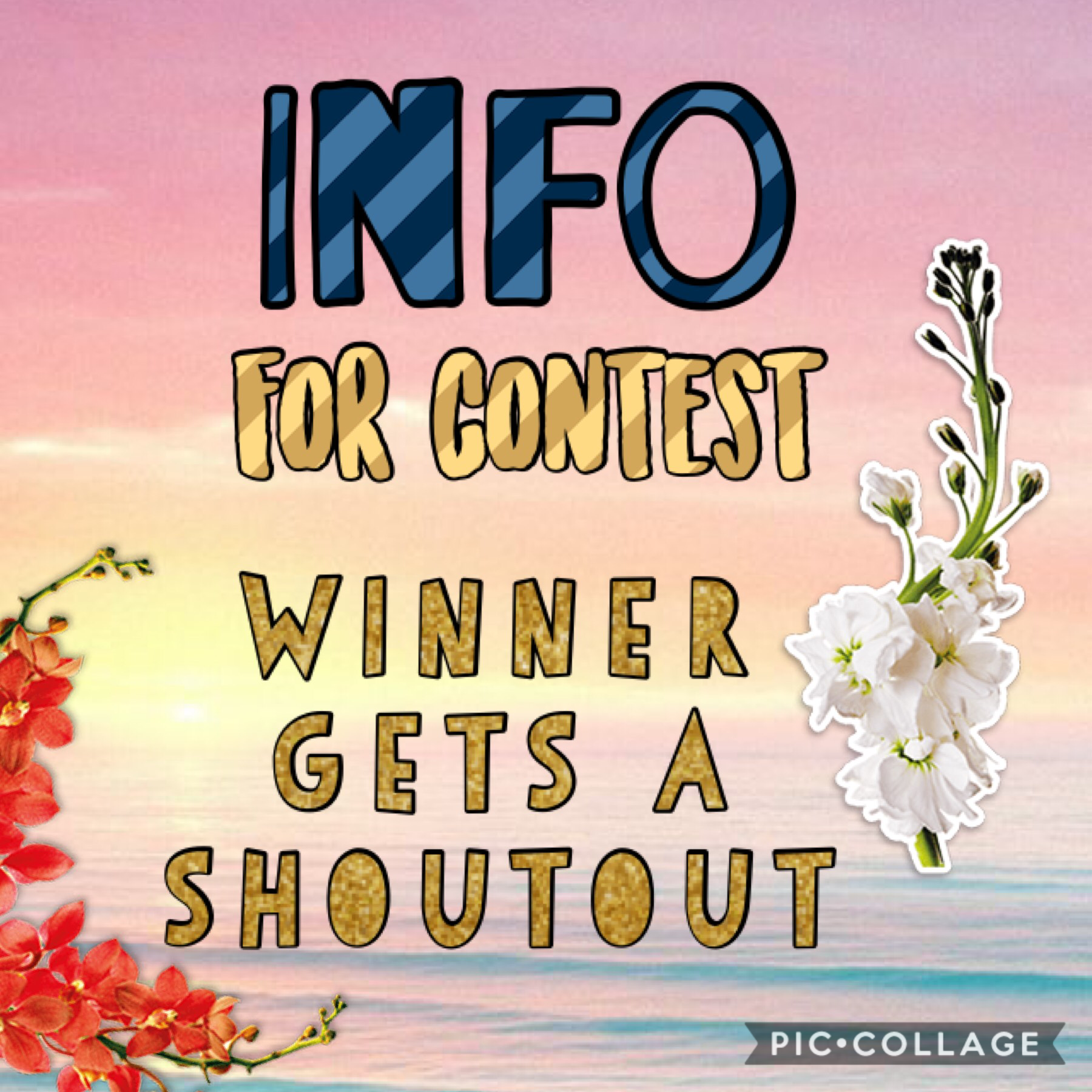 Info for contest 