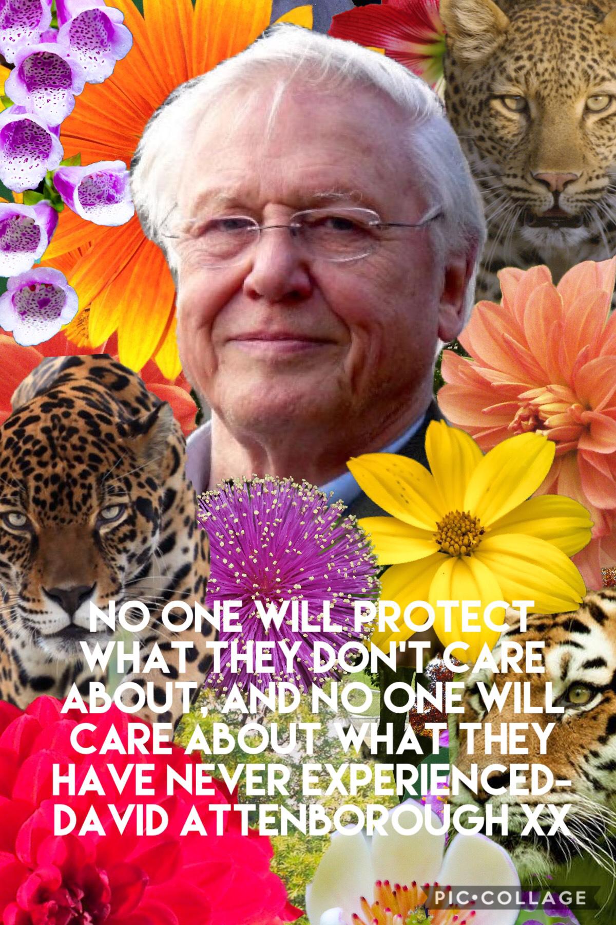 Pleas like this collage it’s for creativeoutlets contest and it’s ho gets the most likes Xx I also love David Attenborough 