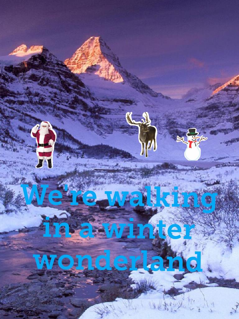 We're walking in a winter wonderland
