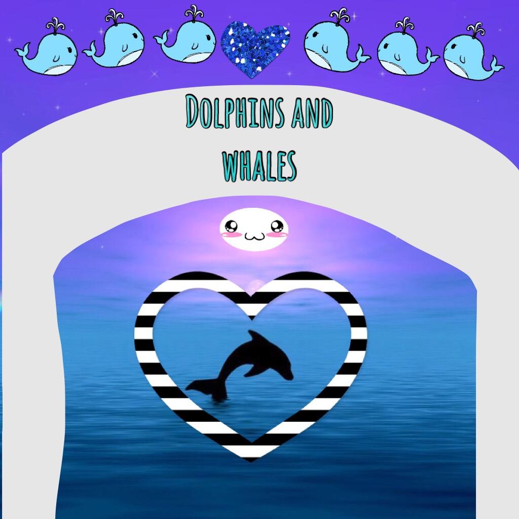 Dolphins and whales!!!!!!