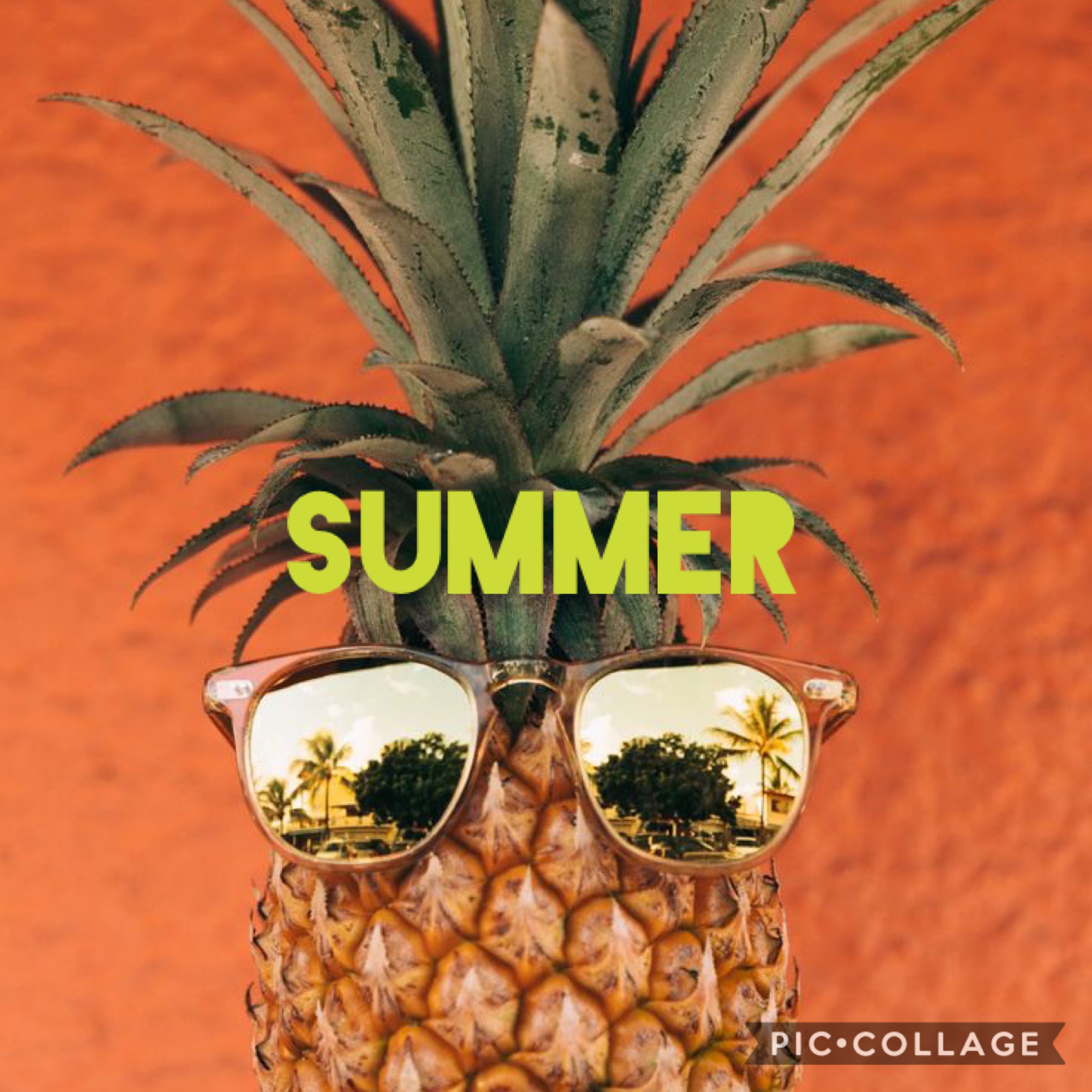I’m I_d_c I love summer and pineapples 🍍 