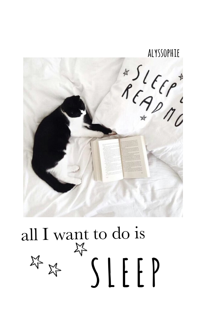 • tap if your sleepy •

QOTD : favorite animal?

AOTD : cats 😺

- sophie
