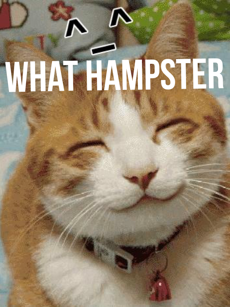 What Hampster