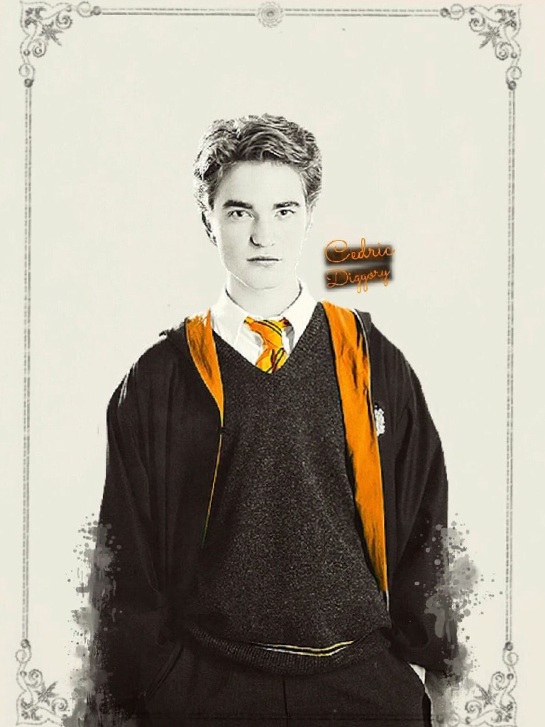 Sorry for not being active!💗 Cedric, my second favorite Hufflepuff!💛💛💛