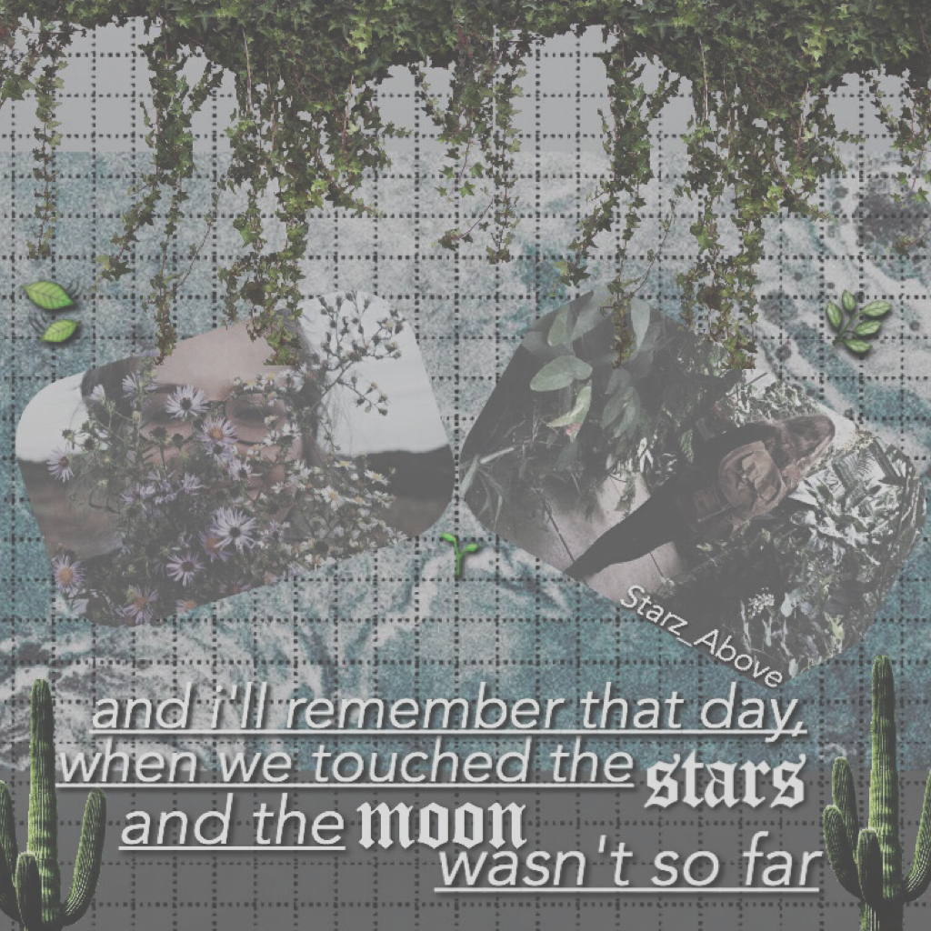 hey hey 🌿 dunno if this quote is someone's or if i made it up haha 😬 how are y'all doing?? tysm for all the likes & follows; it means so much to me that you guys still like my acc (: