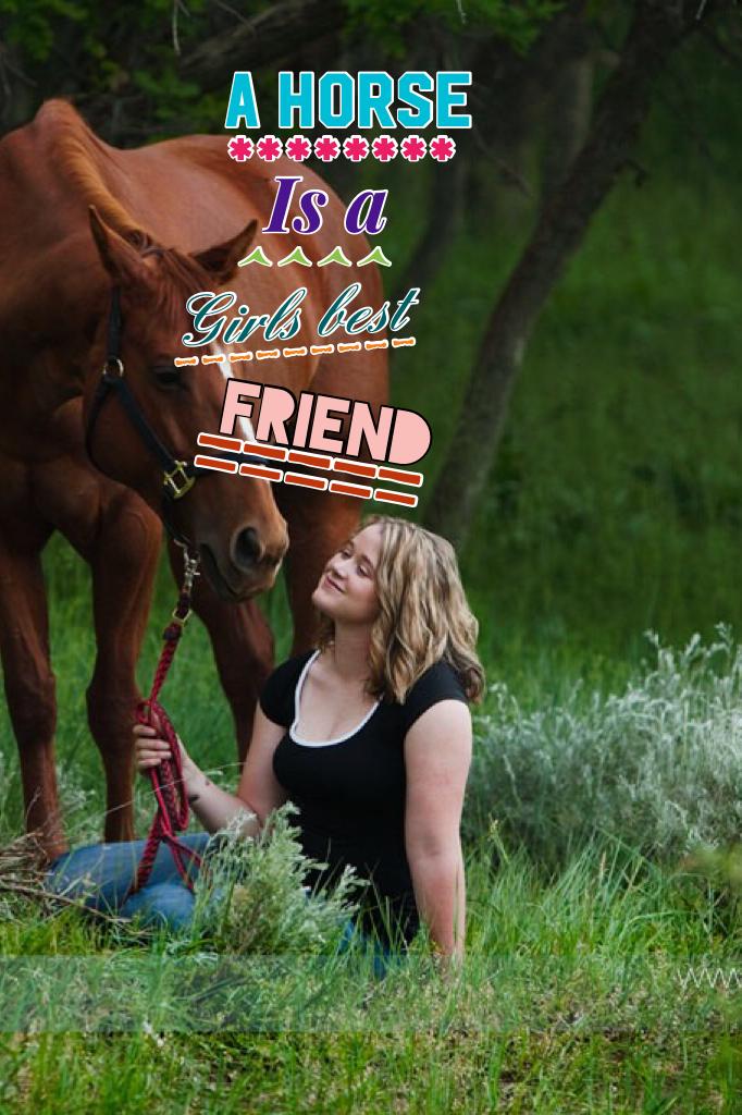 A horse is a girls best friend 