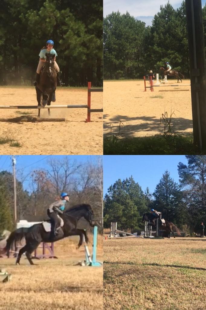 A good jump and a fail jump from the two lessons I have had on my trainers horse 😂
