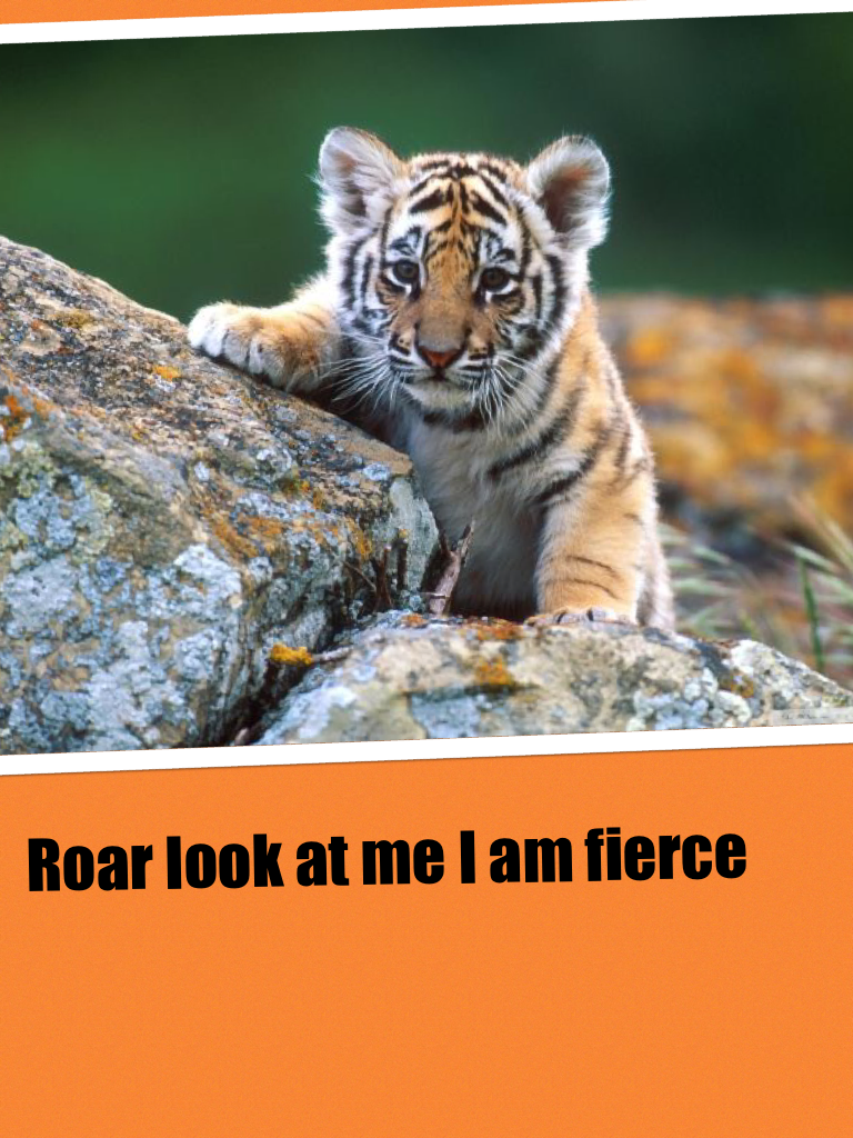 Roar look at me I am fierce 