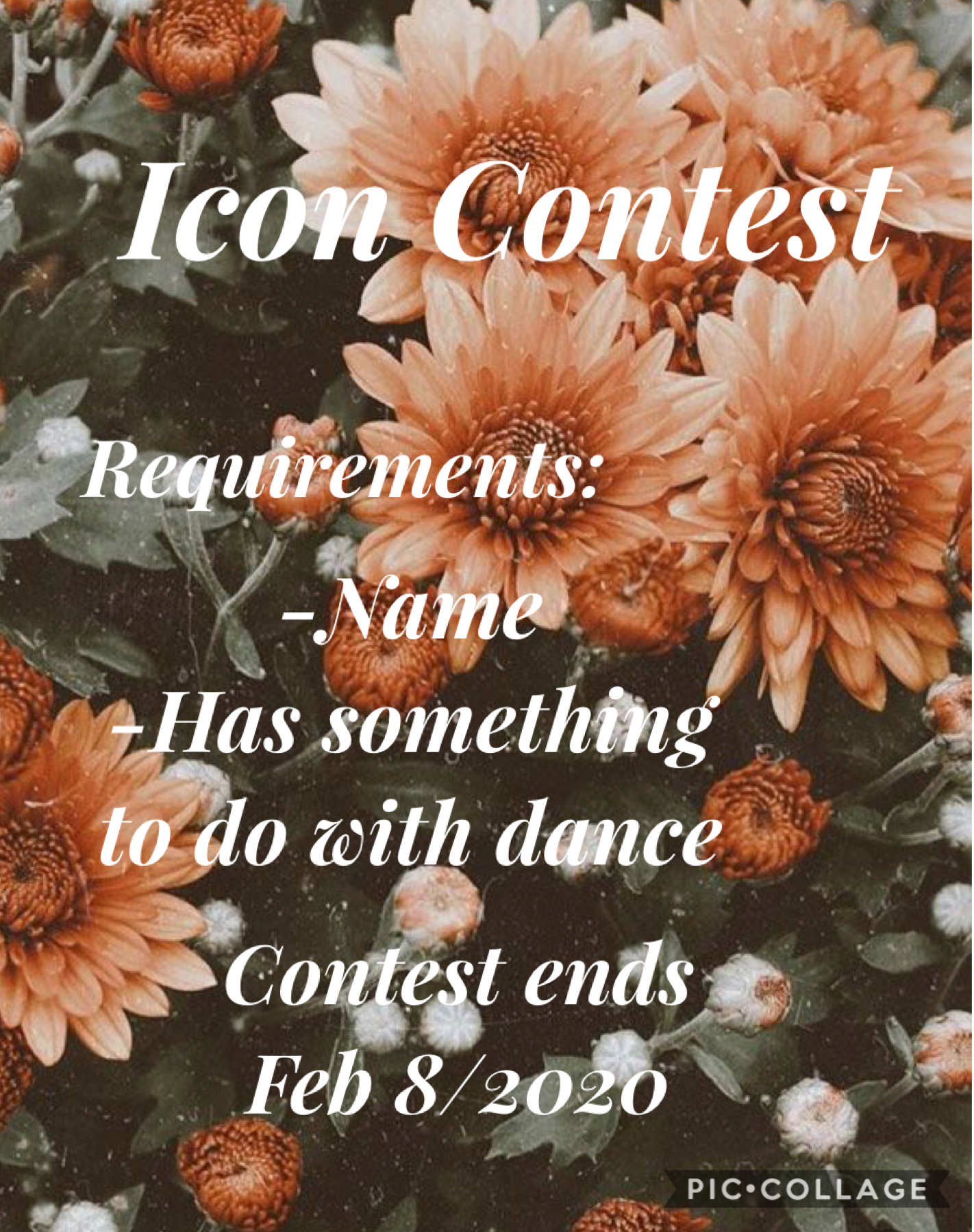 Icon Contest! 