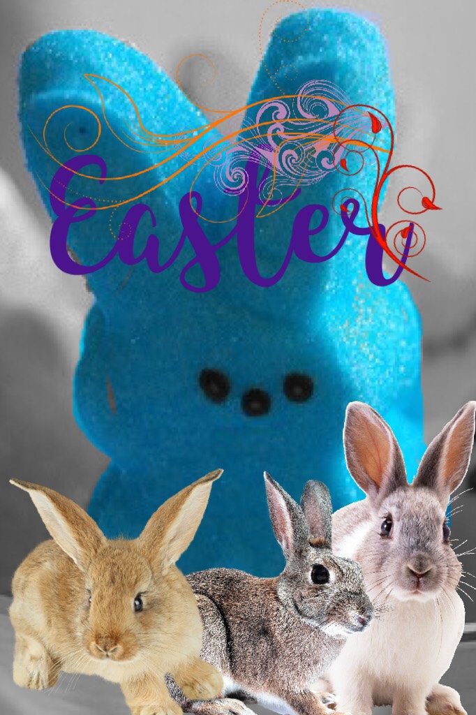 Easter 🐣 