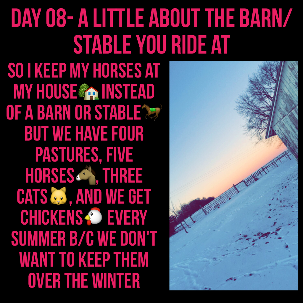 Day 08- A little about the barn/stable you ride at