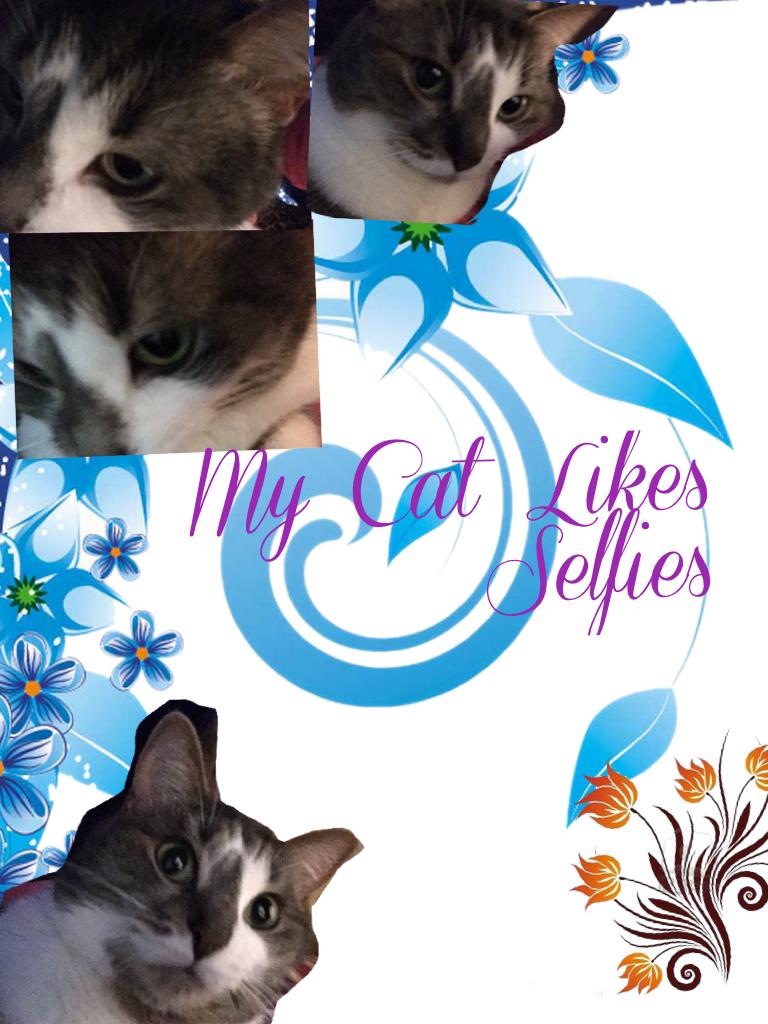 ❤️💙💚💜Click Here!💜💚💙❤️🐱🕶🐱🕶🐱❤️

CONTEST! Animals Taking selfies
Remix Your pet taking selfies!
(If you have one) 
If you don't have a pet remix with your favourite pet!
Ends August 15th
Very Weird
