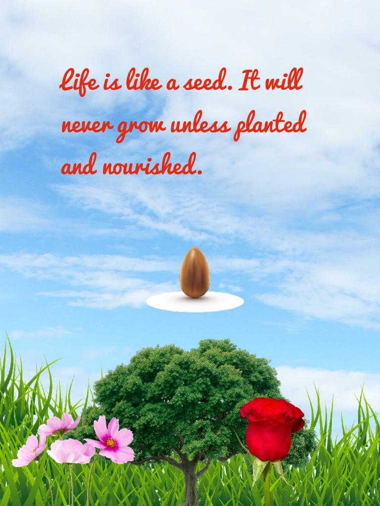 Life is like a seed. It will never grow unless planted and nourished.