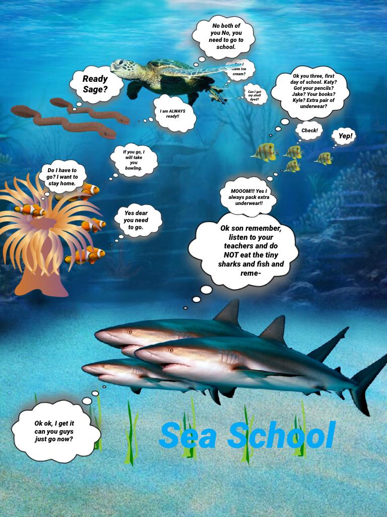 Sea School 