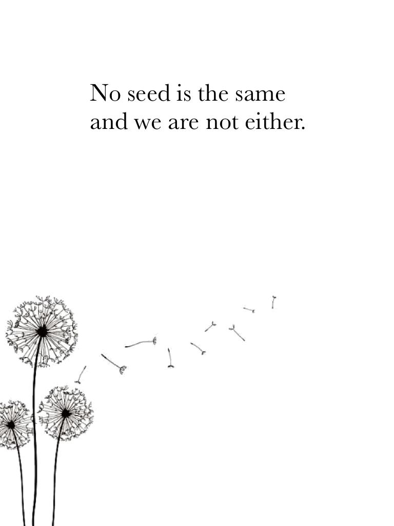 No seed is the same and we are not either.