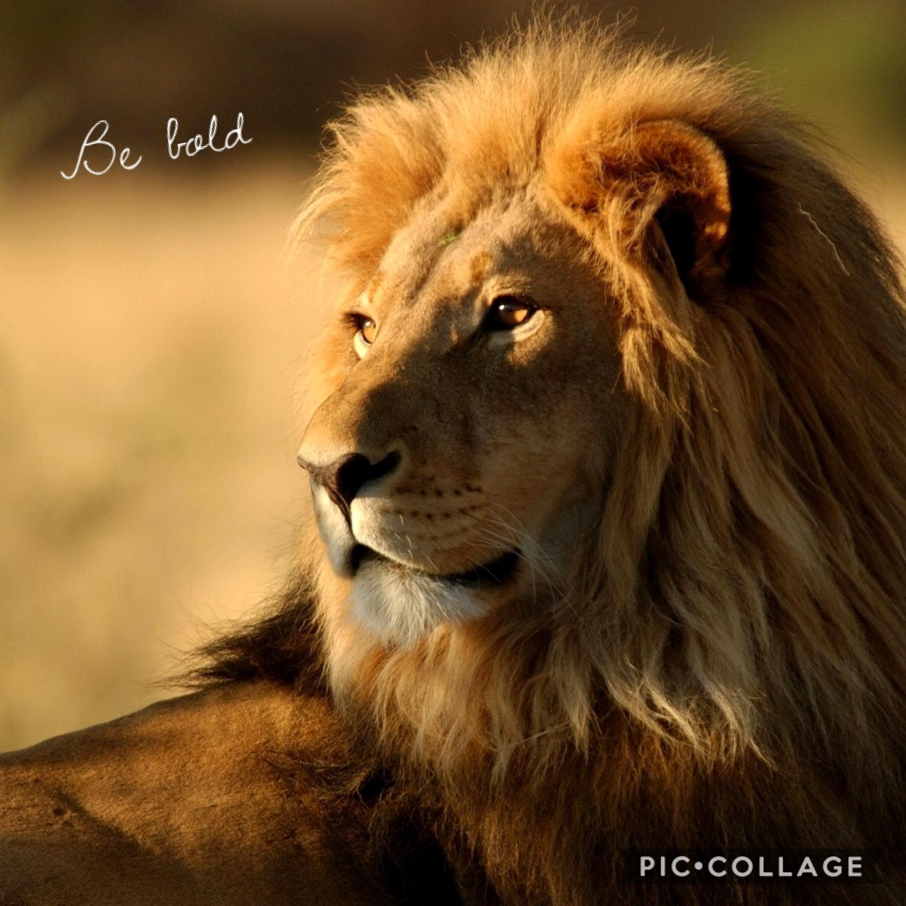 Be like the lion
