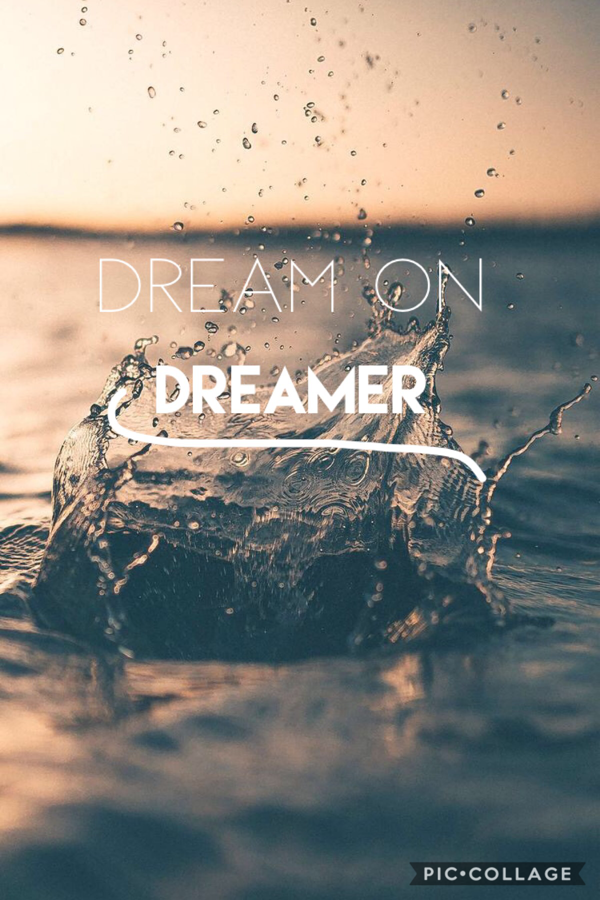 >⭐️<

Dream on Dreamers! 💜