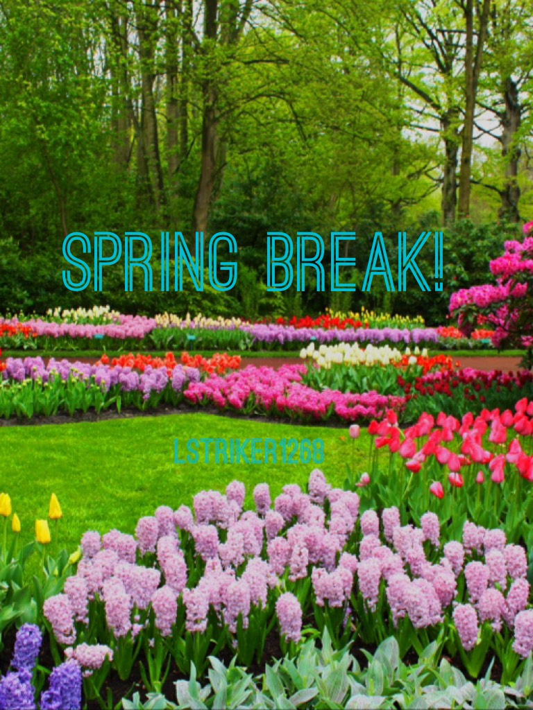 Spring Break!