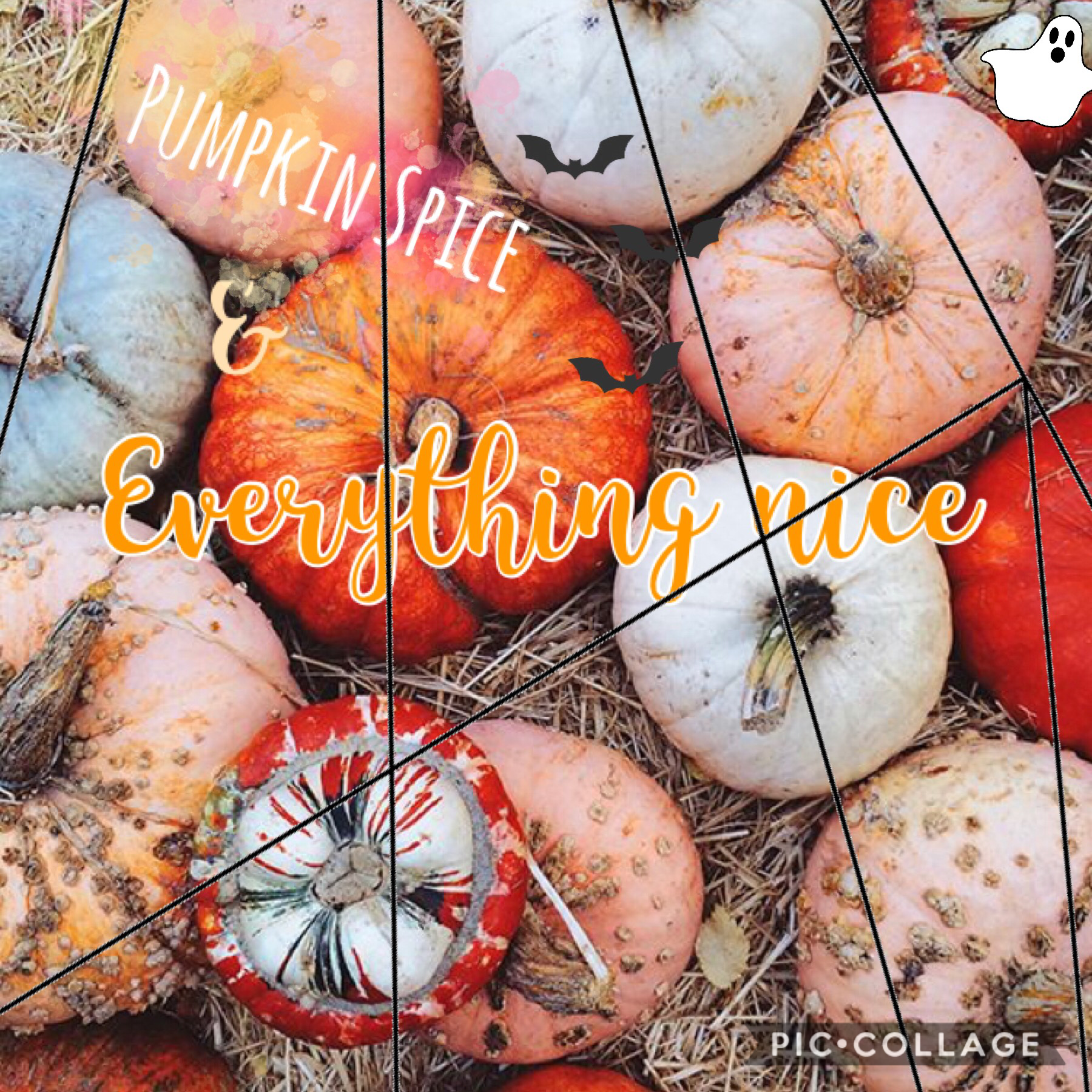 Tap🎃👻
 
Happy spooky szn!! Can u spot the hidden Halloween character? All month long if you spot the character and comment what it is you may be the lucky person to get a shoutout!! Also comment what your fav season is mines definitely fall!!🎃👻🍁🍂. 💕