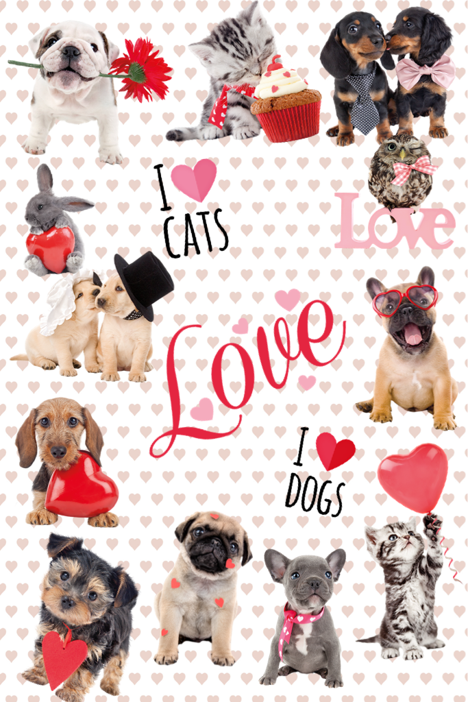 AREN'T THEY THE CUTEST? These pets will definitely make you fall in love! Remix this collage with your pets or use our Studio Pets sticker pack! We'll feature the ones we fall in love with. ❤️