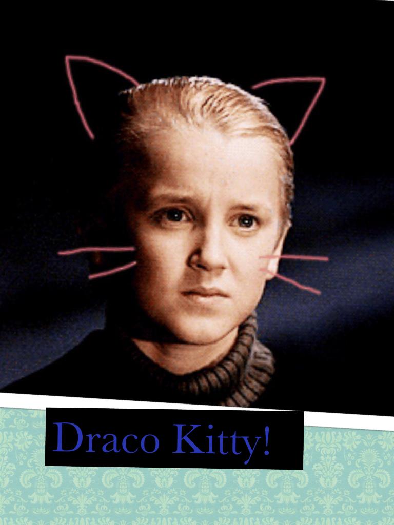 Draco Kitty!
