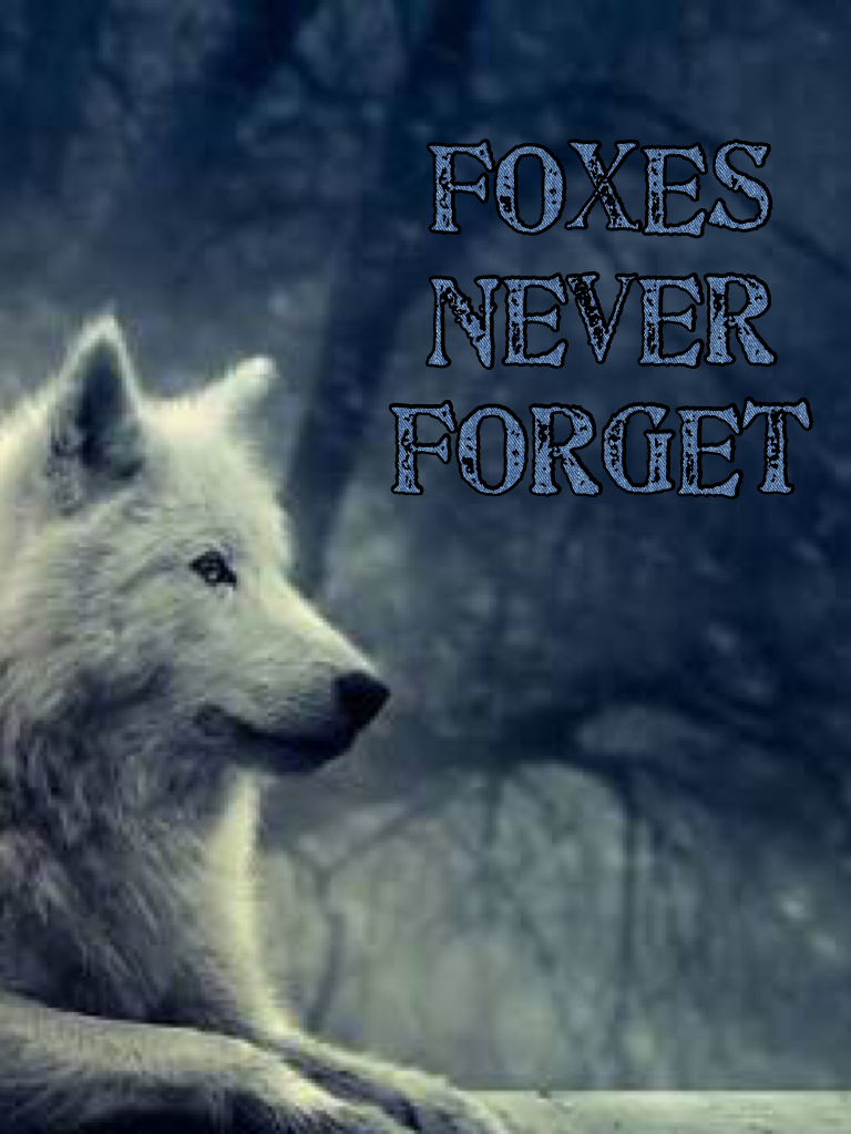 Foxes Never Forget