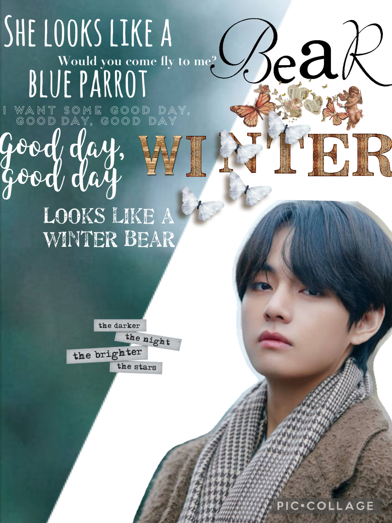 Winter Bear by V from BTS 