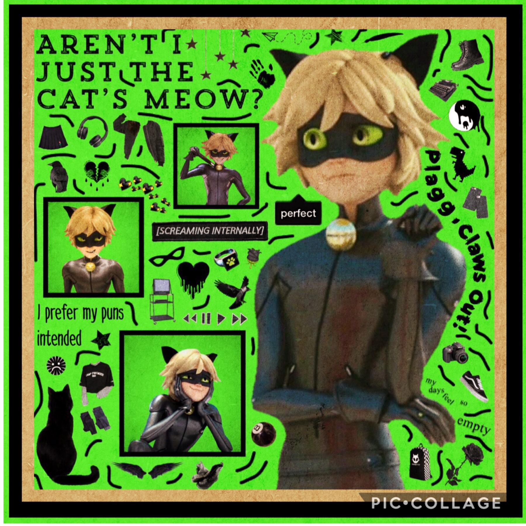 Bold of you to assume I’d make a Ladybug collage and not a Chat Noir one.