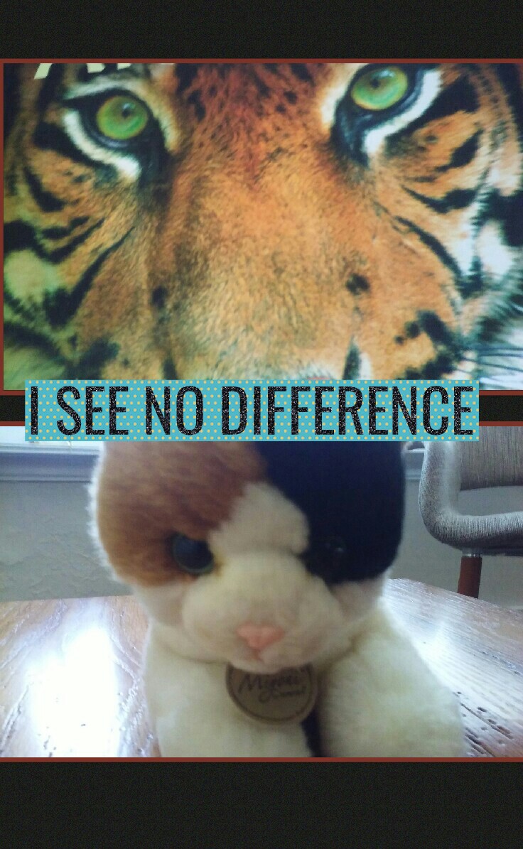 I SEE NO DIFFERENCE