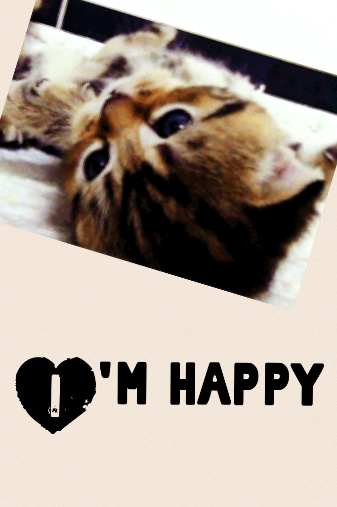 I'm happy
Happy cat