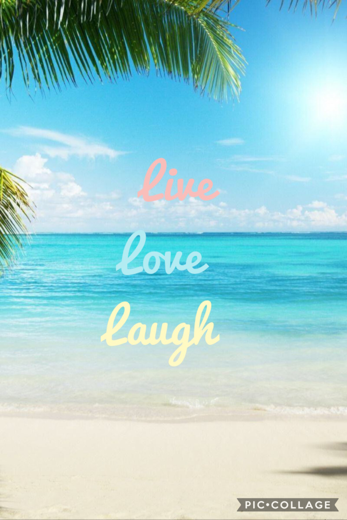 Live 
Love
Laugh